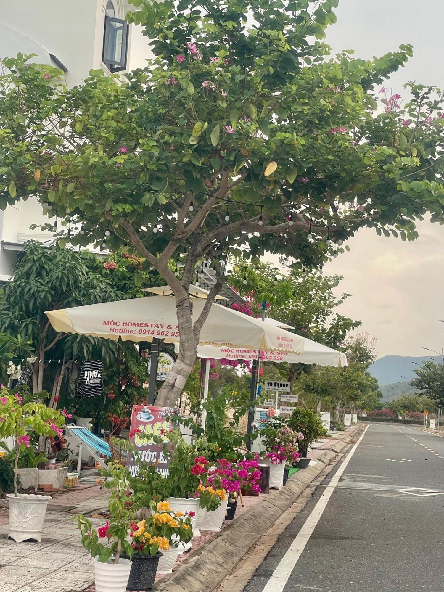 Moc Homestay- Near Bai Dai Beach Cam Lam Εξωτερικό φωτογραφία